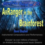ArRanger in the Brainforest
New Age instrumentals